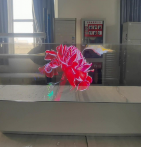 49'' oled transparent display screen